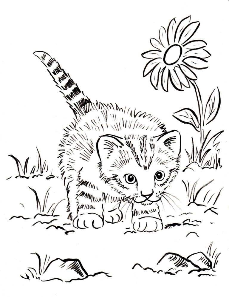 Real Cat Coloring Pages At Getcolorings Free Printable Colorings