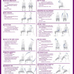 10 Best Printable Chair Exercises For Seniors Printablee