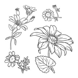 10 Best Printable Flower Patterns Wood Printablee