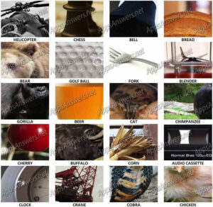 100 Pix Quiz CloseUps A K Level 21 Level 40 Answers Apps Answers