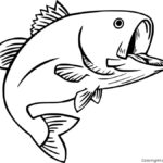 17 Free Printable Bass Coloring Pages In Vector Format Easy To Print