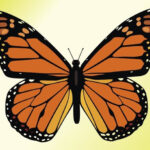 18 Butterfly Cliparts Vector EPS JPG PNG Design Trends Premium
