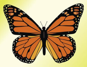 18 Butterfly Cliparts Vector EPS JPG PNG Design Trends Premium