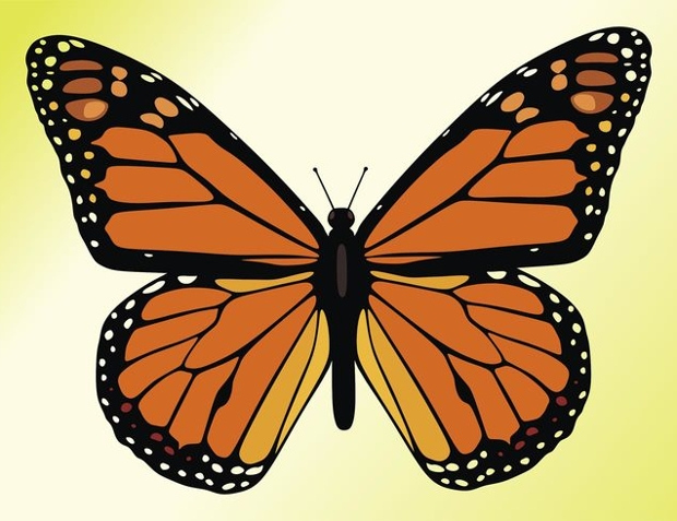18 Butterfly Cliparts Vector EPS JPG PNG Design Trends Premium 