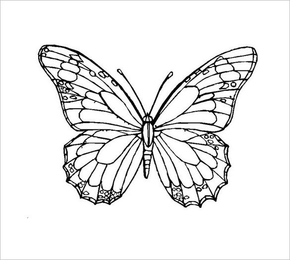 28 Butterfly Templates Printable Crafts Colouring Pages Free 