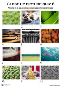 6 Close Up Picture Quiz Printables ESL Vault
