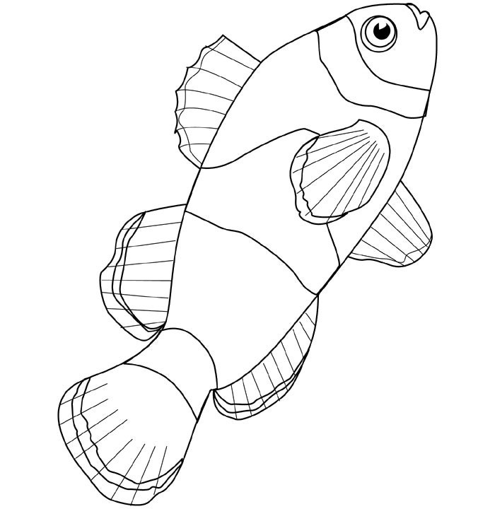 65 Sea Creature Templates Printable Crafts Colouring Pages Free 