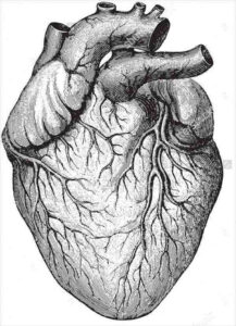 9 Heart Illustrations Free Premium Templates Free Premium