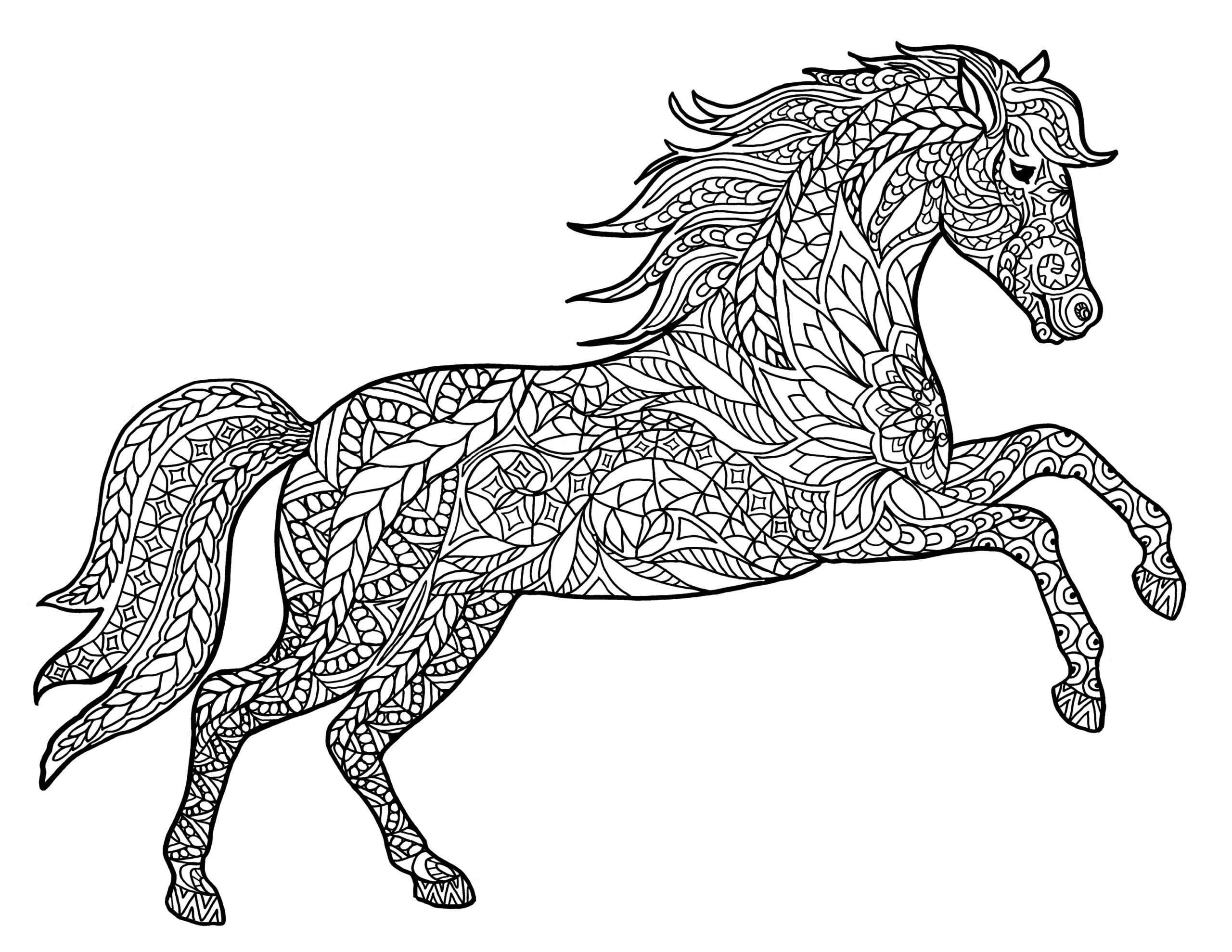 Adult Coloring Pages Animals Best Coloring Pages For Kids