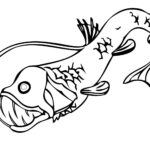 Angler Fish Coloring Page At GetColorings Free Printable