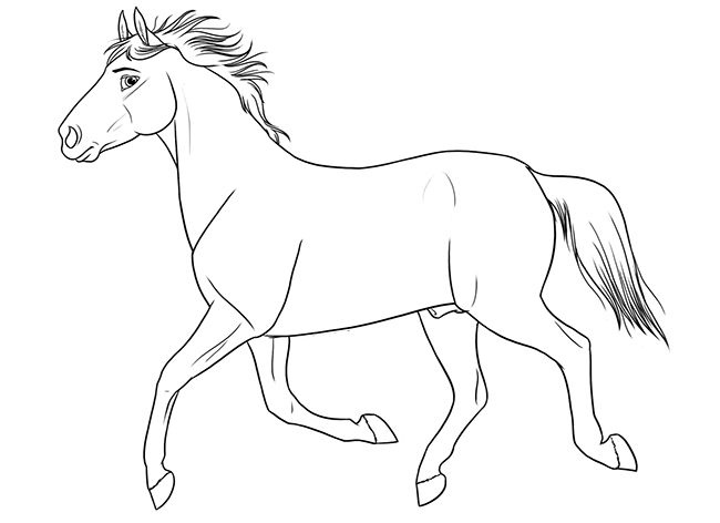 Animal Templates Free Premium Templates Horse Template Drawings 