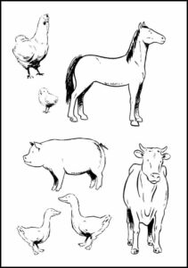 Animals Coloring Sheet Farm Animal Coloring Pages Farm Animals