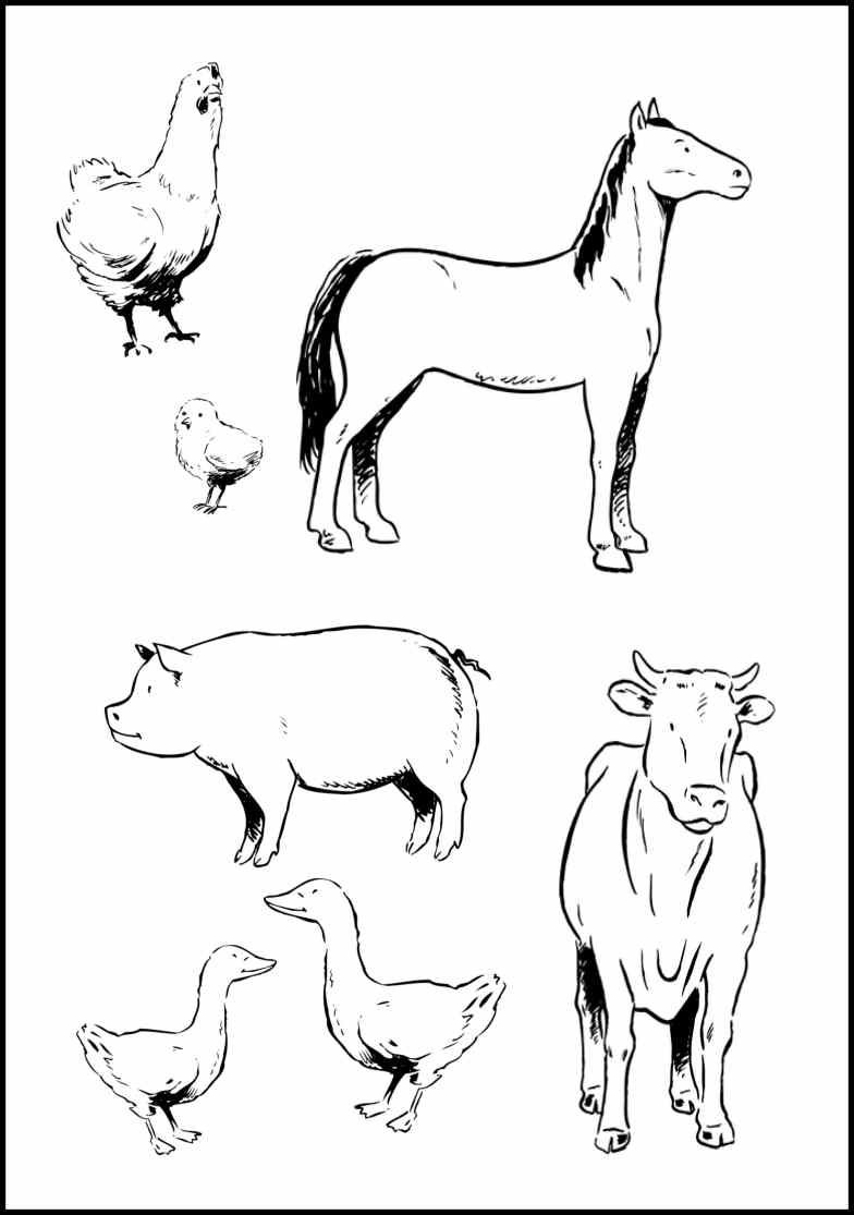 Animals Coloring Sheet Farm Animal Coloring Pages Farm Animals 