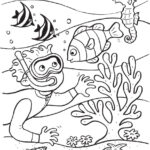 Aquatic Coloring Pages At GetColorings Free Printable Colorings