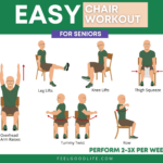 Armchair Exercises For The Elderly Armchair Exercises For The Elderly
