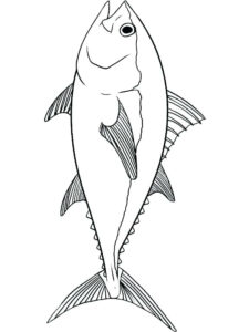Barracuda Coloring Page At GetColorings Free Printable Colorings
