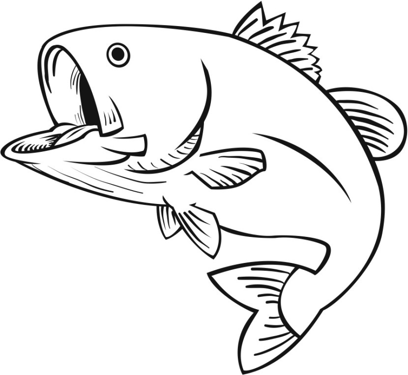 Bass Fish Outline Clipartion