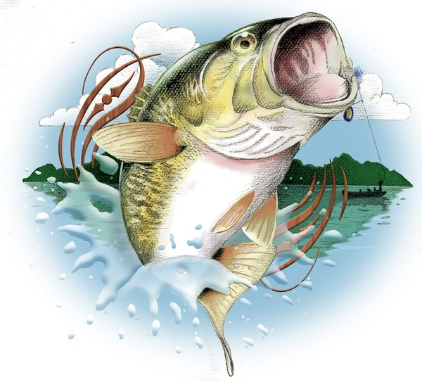 Bass Fishing By Mark Combs ArtWanted