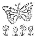 Beautiful Butterfly And Flowers Coloring Page Collection Of Animal