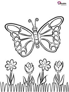 Beautiful Butterfly And Flowers Coloring Page Collection Of Animal