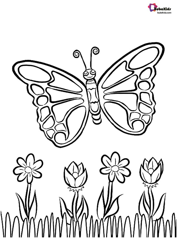 Beautiful Butterfly And Flowers Coloring Page Collection Of Animal 