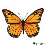 Beautiful Butterfly Coloring Pages Skip To My Lou