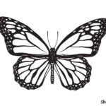 Beautiful Butterfly Coloring Pages Skip To My Lou