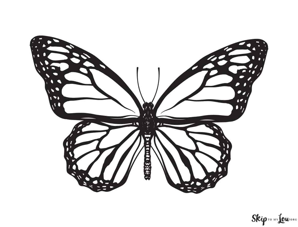 Beautiful Butterfly Coloring Pages Skip To My Lou