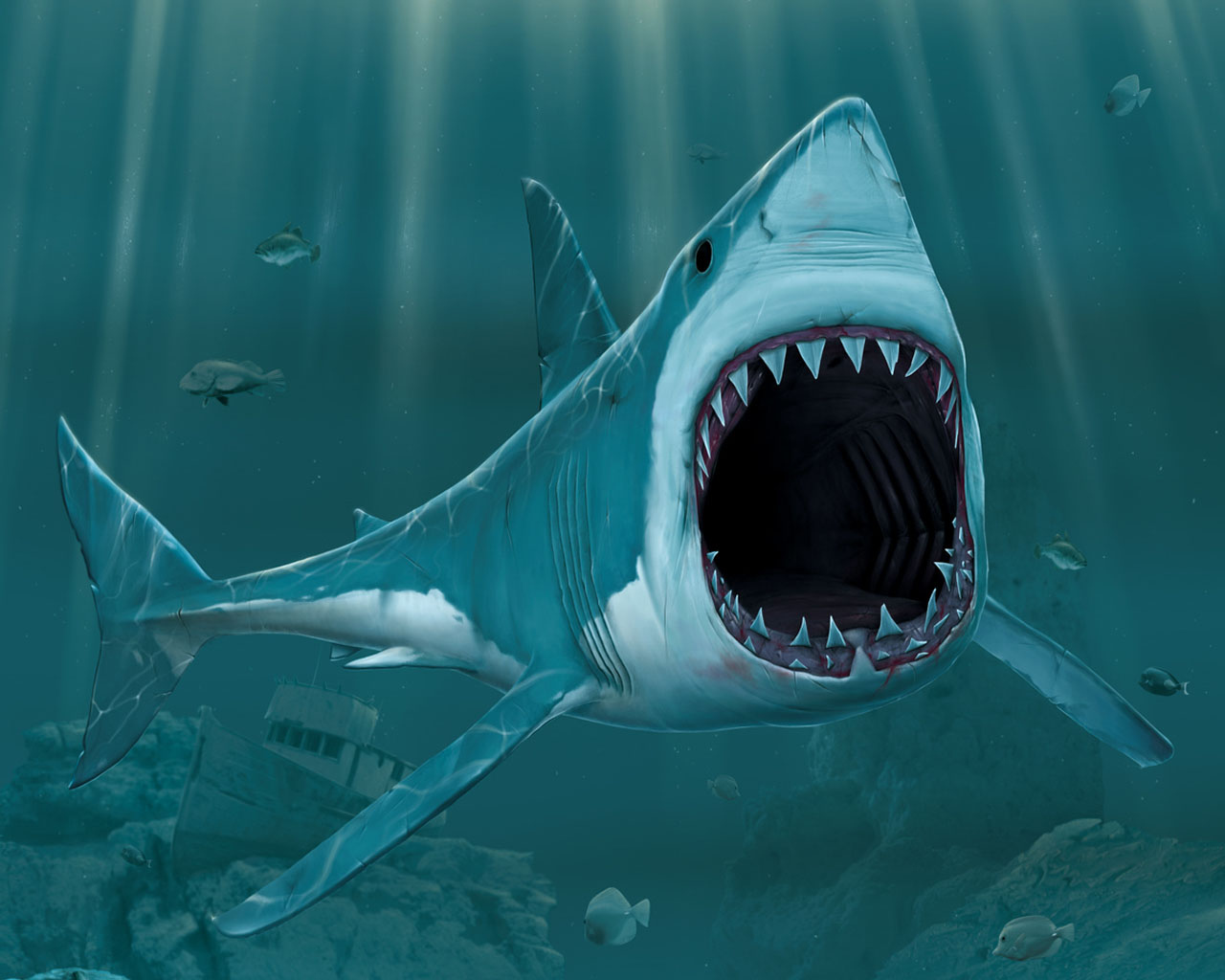 Biggest Ocean Animals Photos Pictures Images Free Desktop Wallpaper