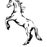 Black And White Horse Coloring Pages At GetColorings Free