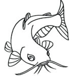 Bluegill Coloring Page At GetColorings Free Printable Colorings