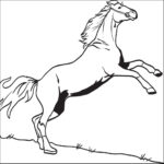 Bucking Horse Coloring Pages At GetColorings Free Printable