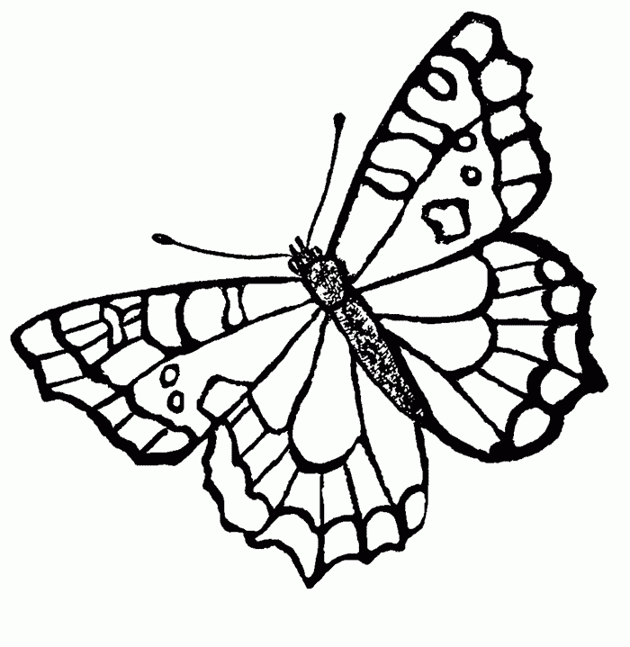 Butterfly Coloring Pages 15 Coloring Kids Coloring Kids