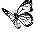 Butterfly Coloring Pages