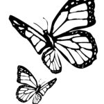 Butterfly Coloring Pages