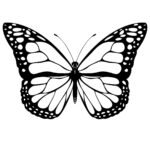 Butterfly Coloring Pages 6 Coloring Kids Coloring Kids