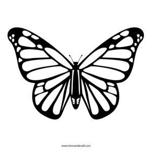 Butterfly Stencil Tim s Printables