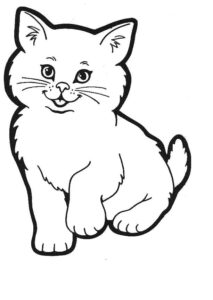 Cat Coloring Pages Team Colors