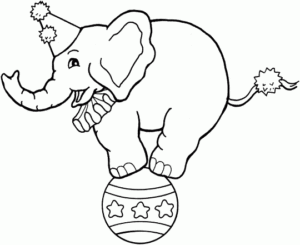 Circus Coloring Pages Circus Elephant On Ball