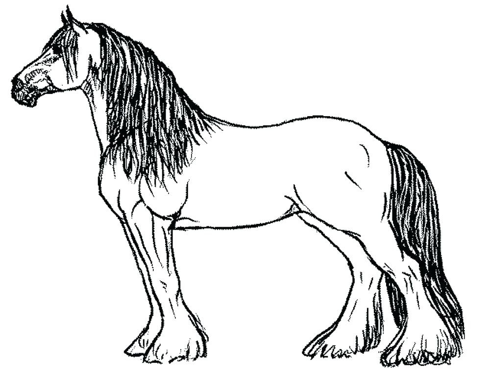 Clydesdale Horse Coloring Pages At GetColorings Free Printable 