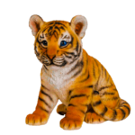 Collection Of Real Animal PNG PlusPNG