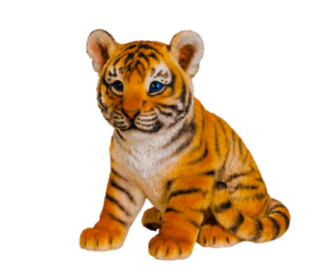 Collection Of Real Animal PNG PlusPNG
