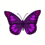 Colorful Purple Butterfly Design Amazing Color Pattern Yellow