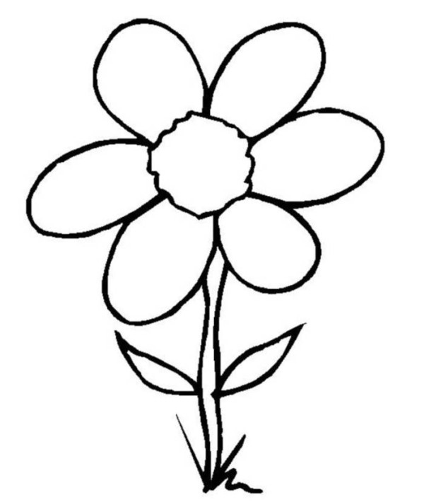 Colorings Rose Flower Drawing For Kids