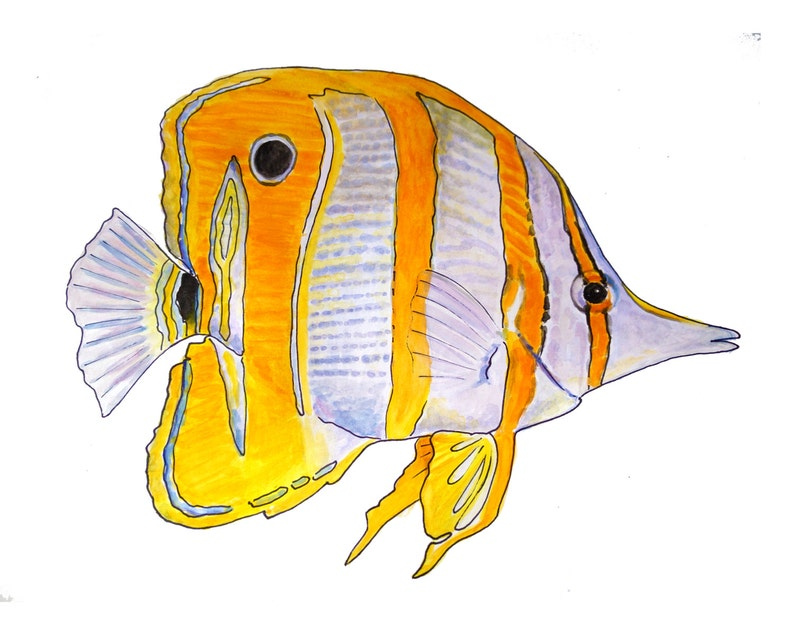 Copperband Butterfly Fish Watercolor Fine Art Print Etsy