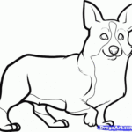 Corgi Coloring Pages Coloring Home