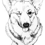 Corgi Coloring Pages To Download And Print For Free