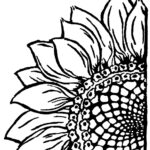 Corner Sunflower Stencil Sunflower Drawing Linocut