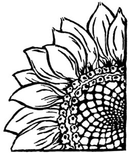 Corner Sunflower Stencil Sunflower Drawing Linocut
