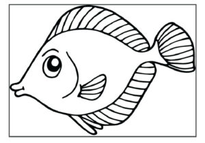 Cute Fish Coloring Pages At GetColorings Free Printable Colorings